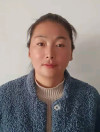 王军红